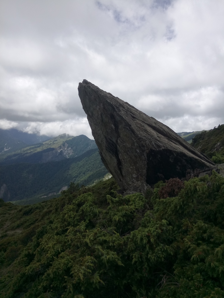 DSC_5432.JPG - 合歡山  北峰之美  (下)