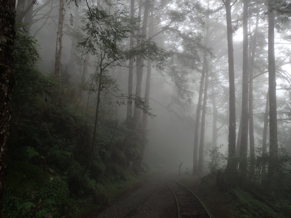 P8226796.JPG - 太平山 見晴懷古步道