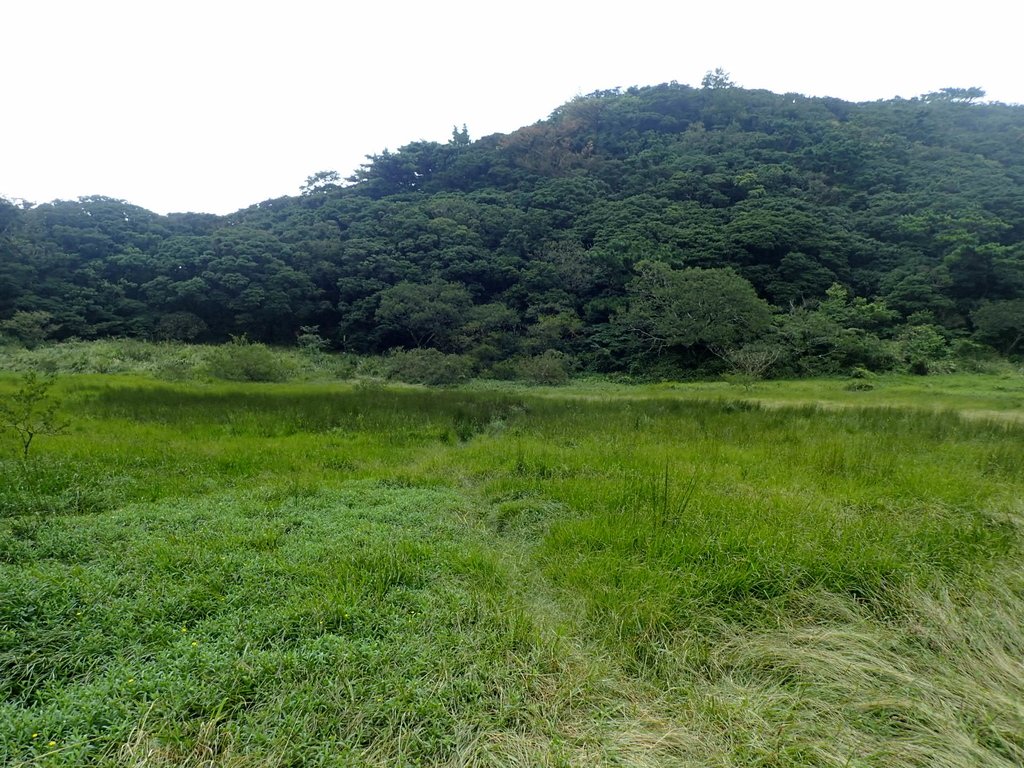 P9238219.JPG - 北投  面天山  向天湖步道