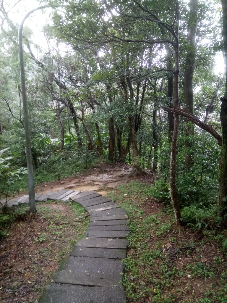 DSC_1720.JPG - 土城  天上山  登山步道