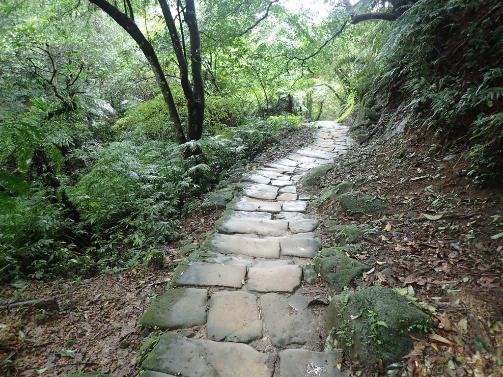 P1062086.JPG - 土城  天上山  登山步道