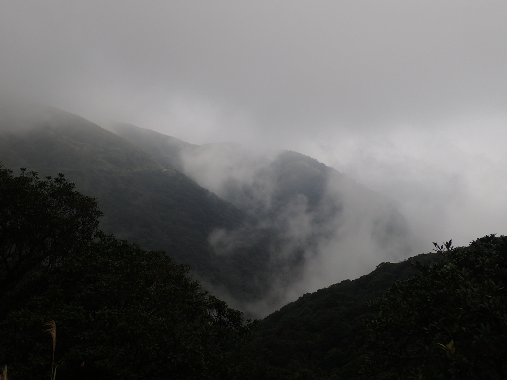 P1203564.JPG - 瑞芳  牡丹山