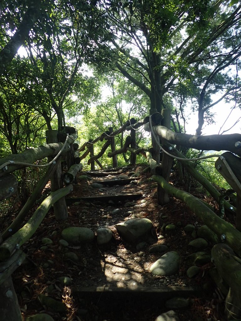 P5117149.JPG - 大坑四號步道  頭嵙山