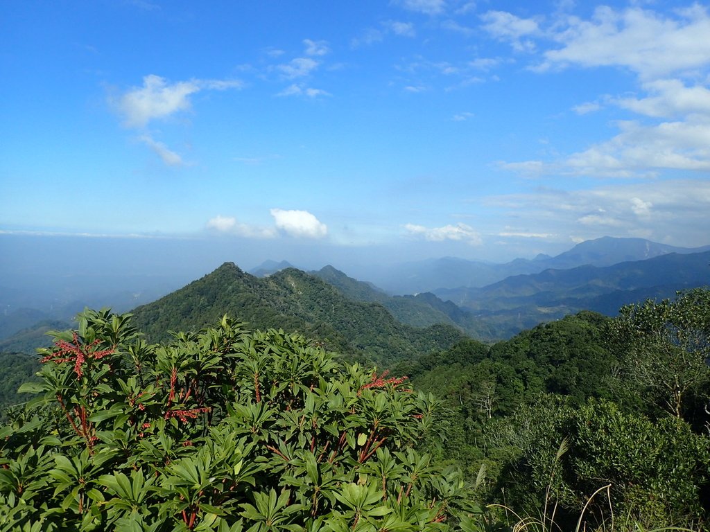 PC010607.JPG - 獅潭  仙山