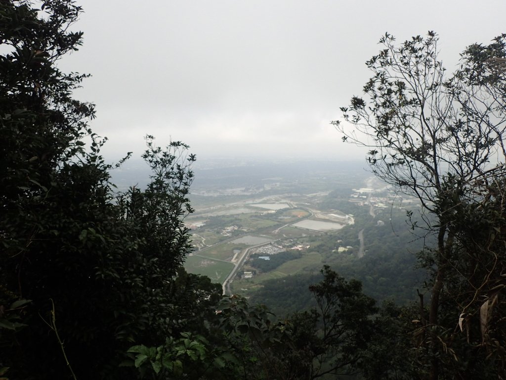 P2107506.JPG - 大溪  溪洲山登山步道