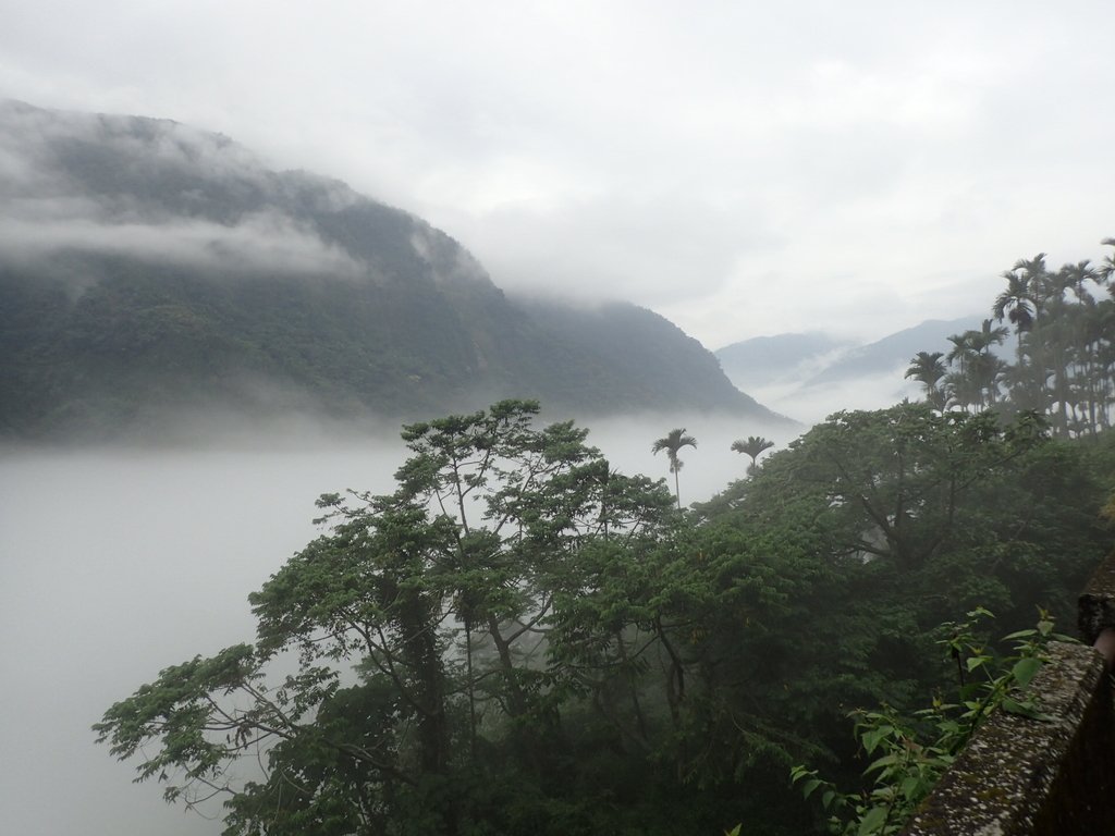 PA231548.JPG - 古坑  草嶺  雲山繚繞