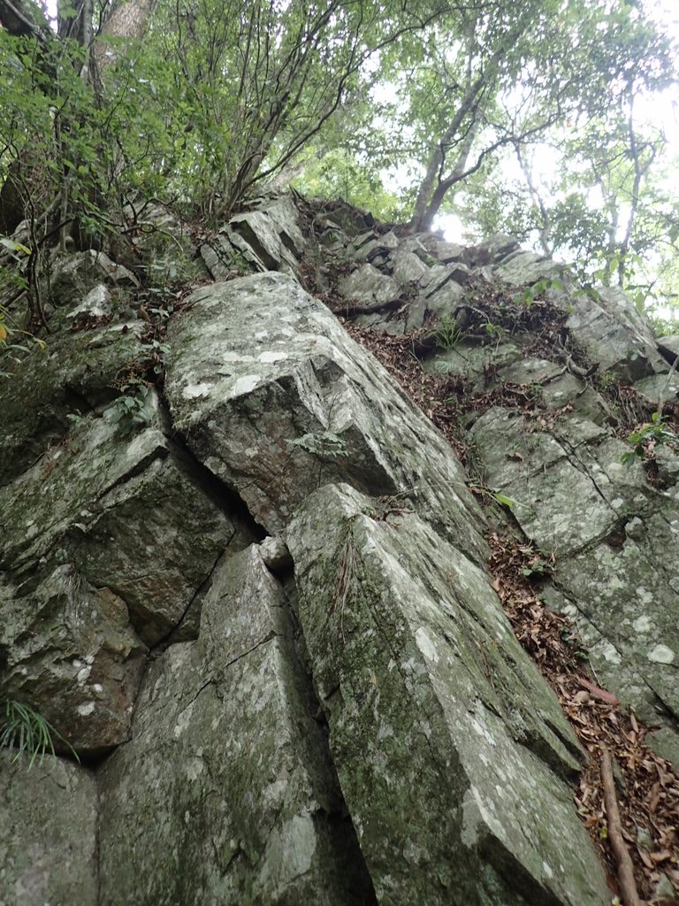 P5012287.JPG - 谷關七雄之  波津加山