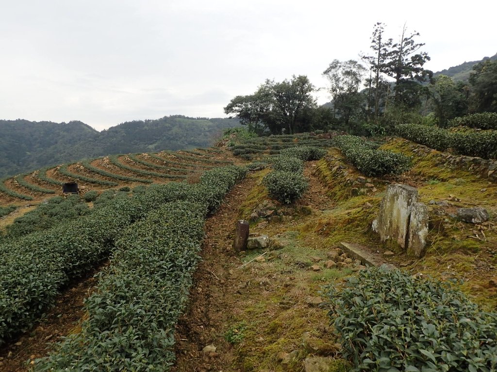 P3170446.JPG - 坪林  大湖尾  陳德宗墓