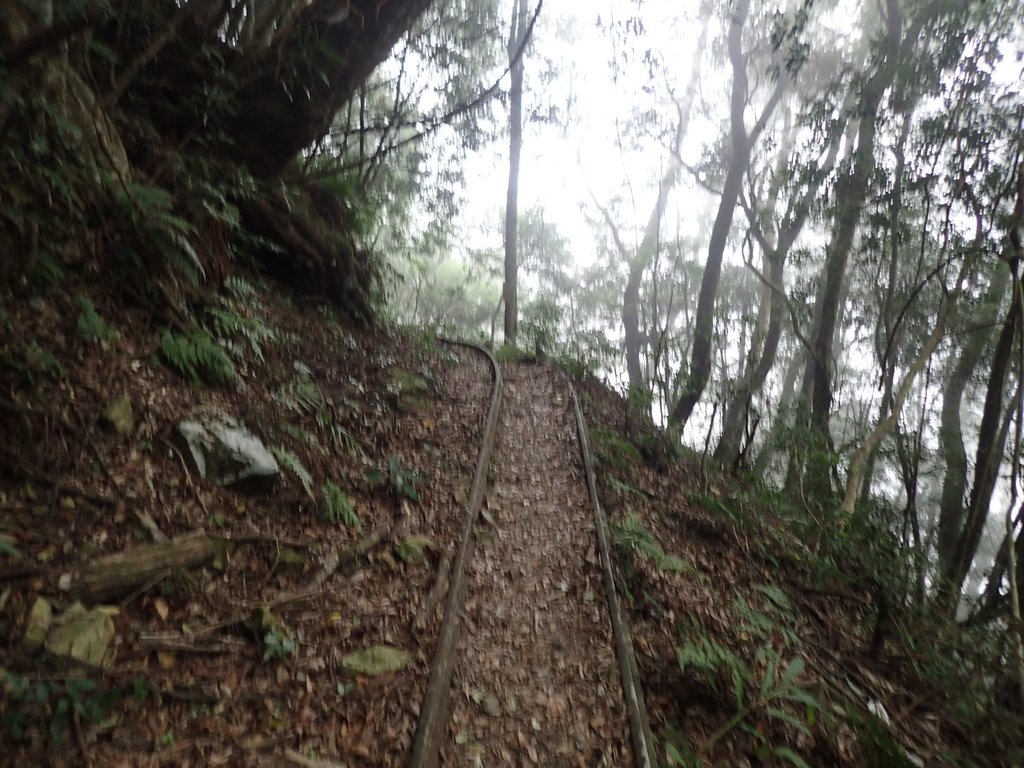 P2034972.JPG - 南庄  加里山  森林鐵道