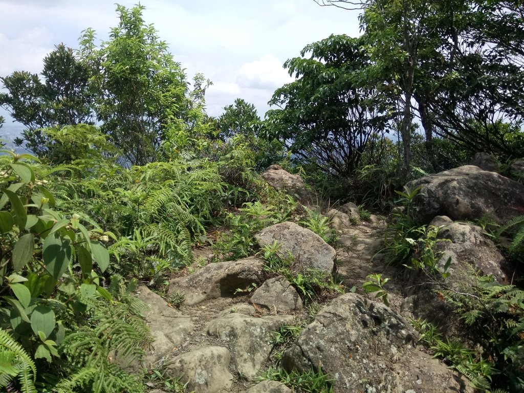 DSC_2997.JPG - 大溪  金面山登山步道