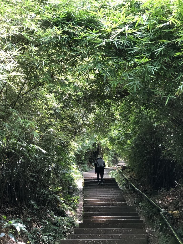 IMG_8141.JPG - 觀音山  風櫃斗湖登山步道