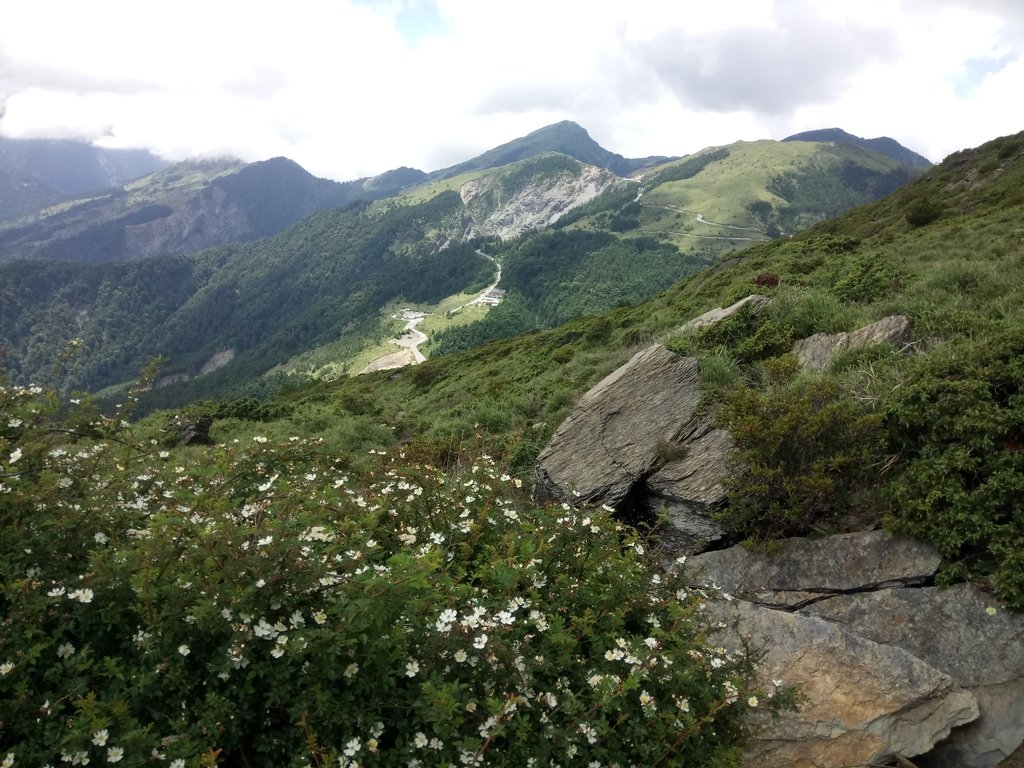 DSC_5438.JPG - 合歡山  北峰之美  (下)