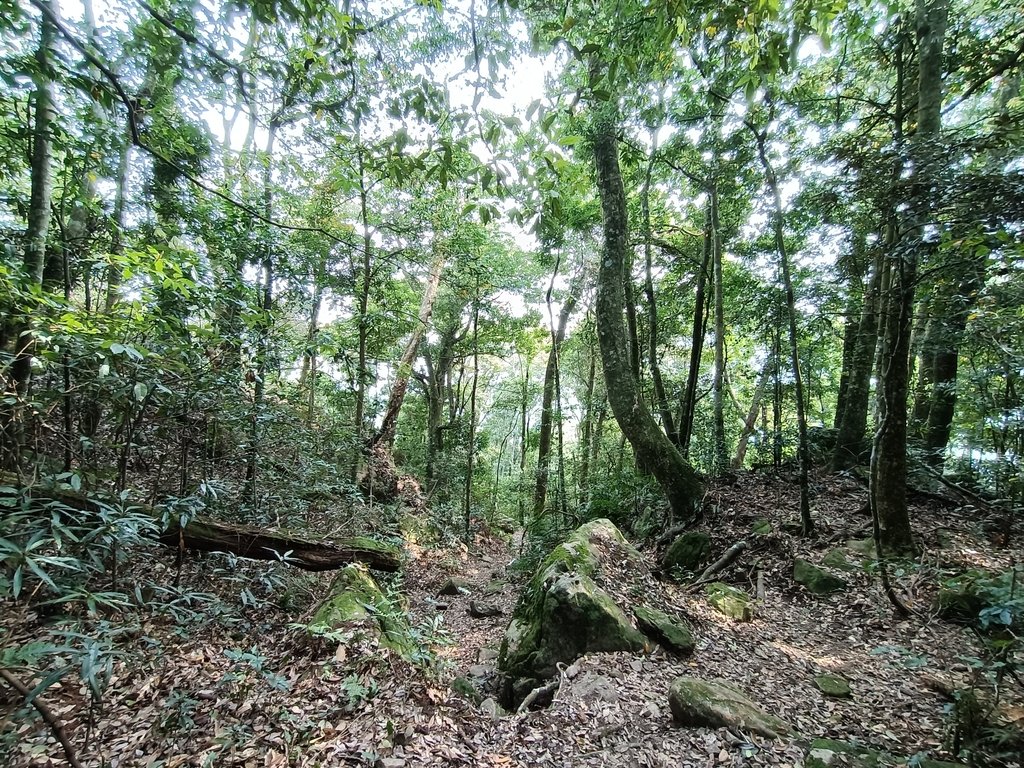 IMG20210403093532.jpg - 五峰  鵝公髻山登山步道  (01)