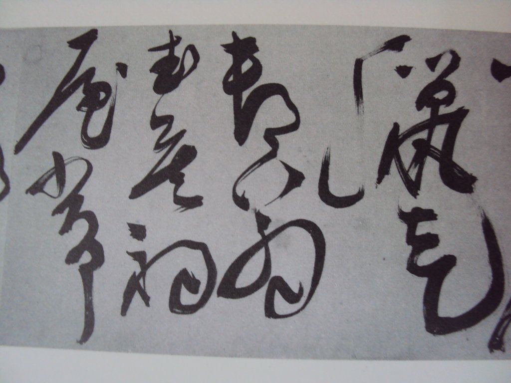 DSC09996.JPG - 陳淳的草書作品