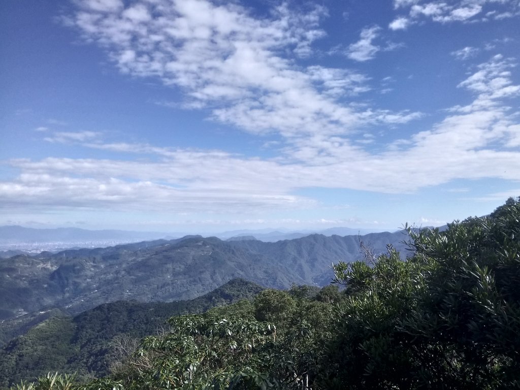 DSC_8964.JPG - 復興  東眼山森林步道