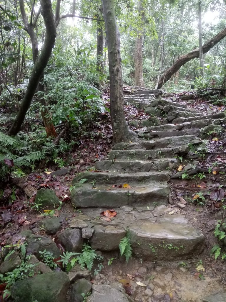 DSC_1723.JPG - 土城  天上山  登山步道