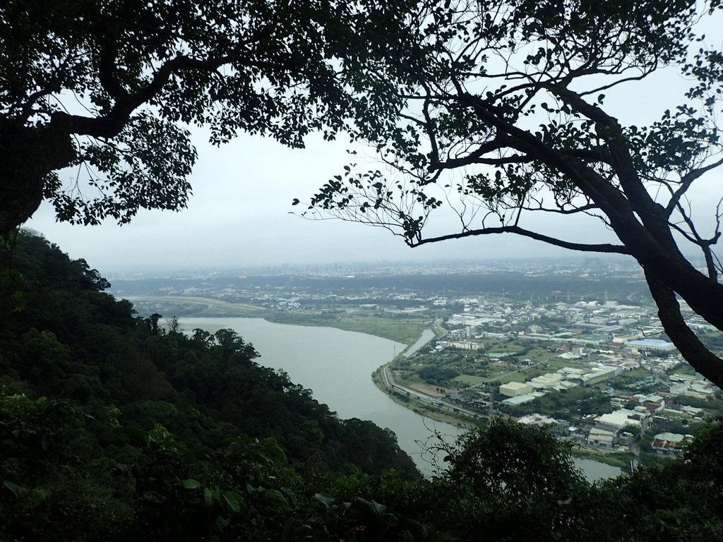 P2168035.JPG - 三峽  鳶山  (福德坑山)