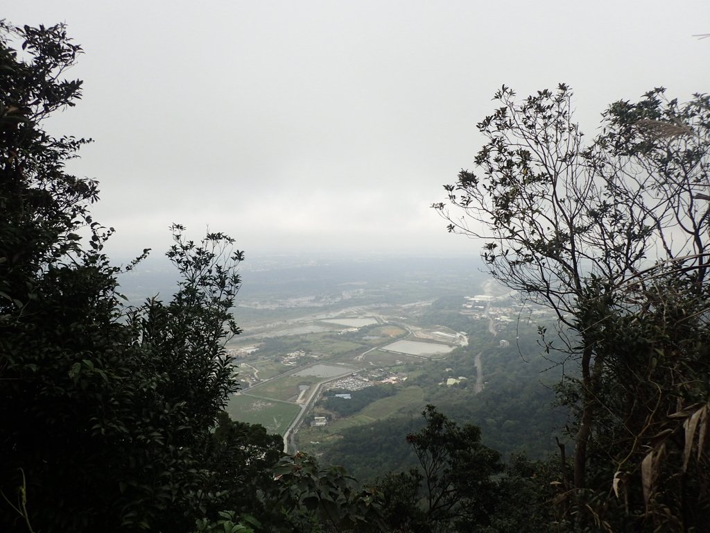 P2107507.JPG - 大溪  溪洲山登山步道