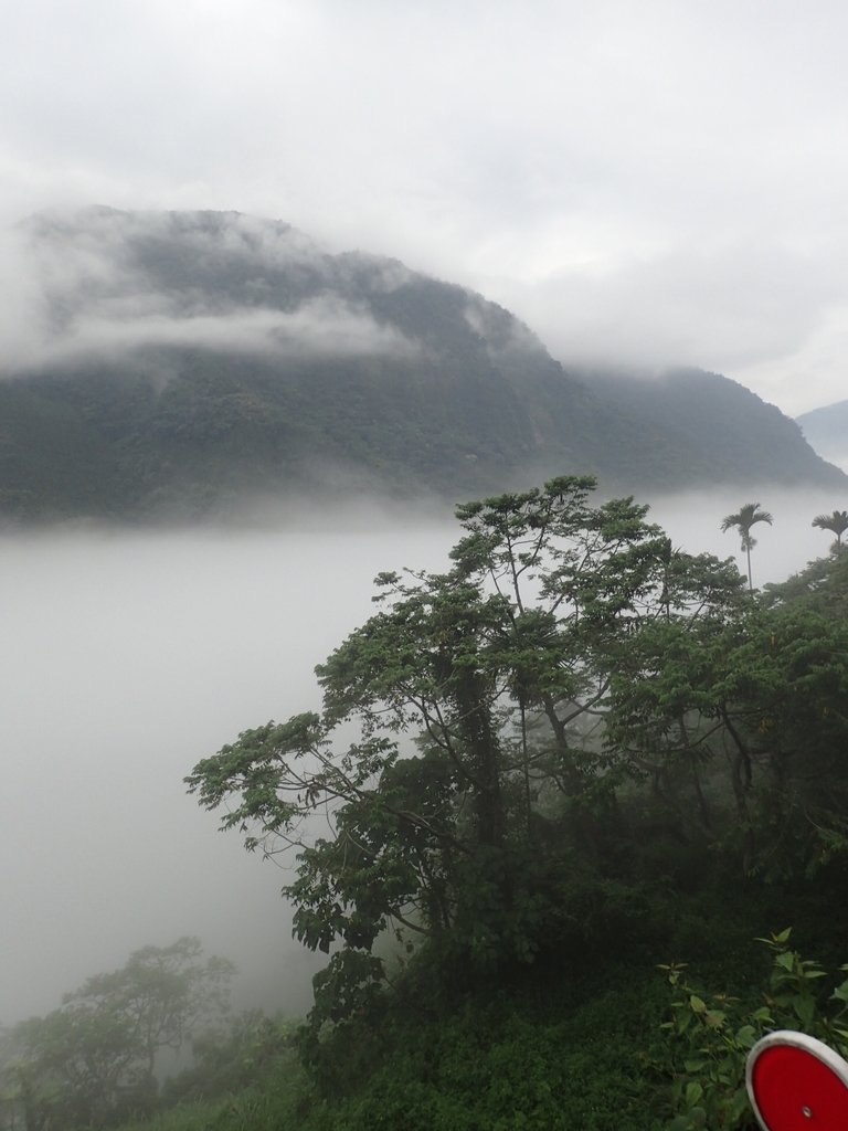 PA231550.JPG - 古坑  草嶺  雲山繚繞