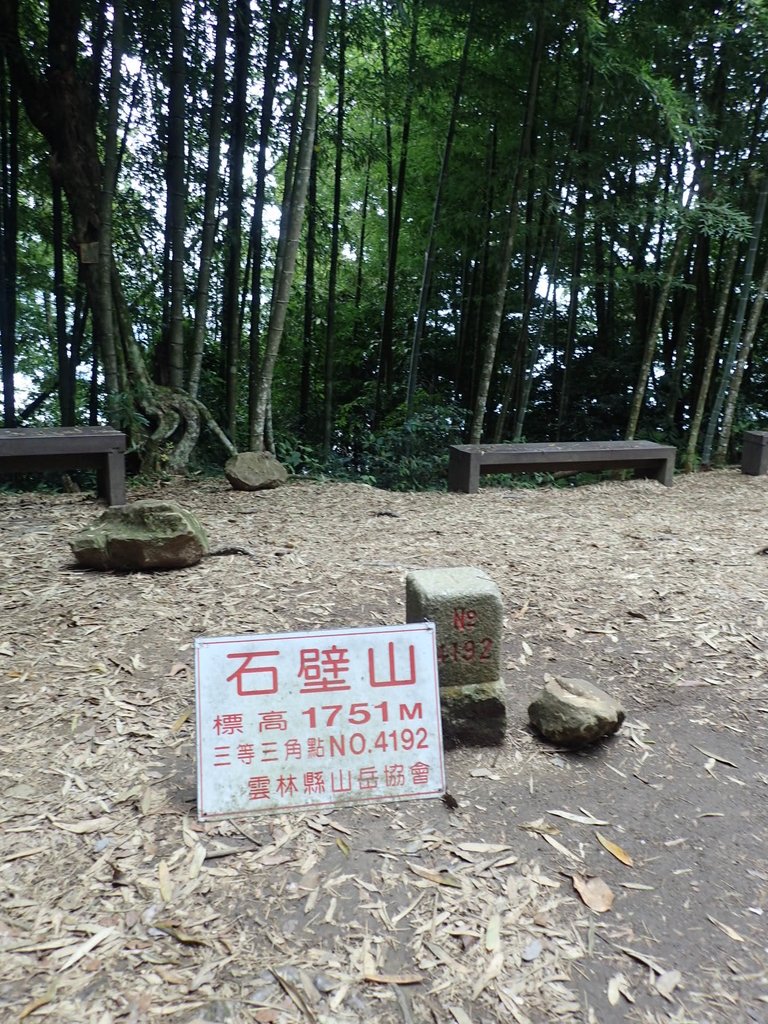 PA231707.JPG - 石壁山  嘉南雲峰步道