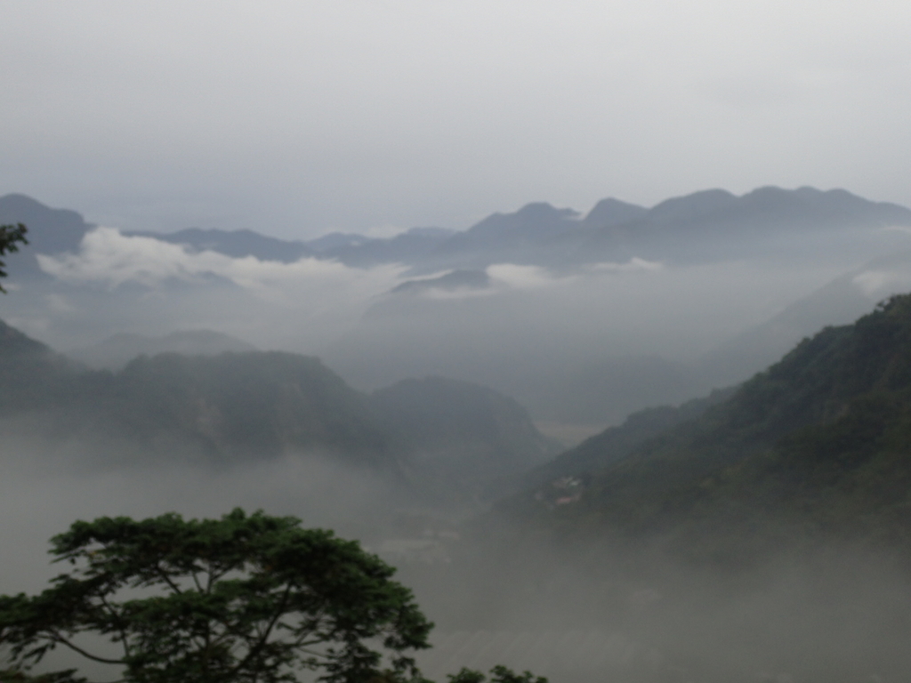 PA231909.JPG - 石壁途中之   茶山雲雨