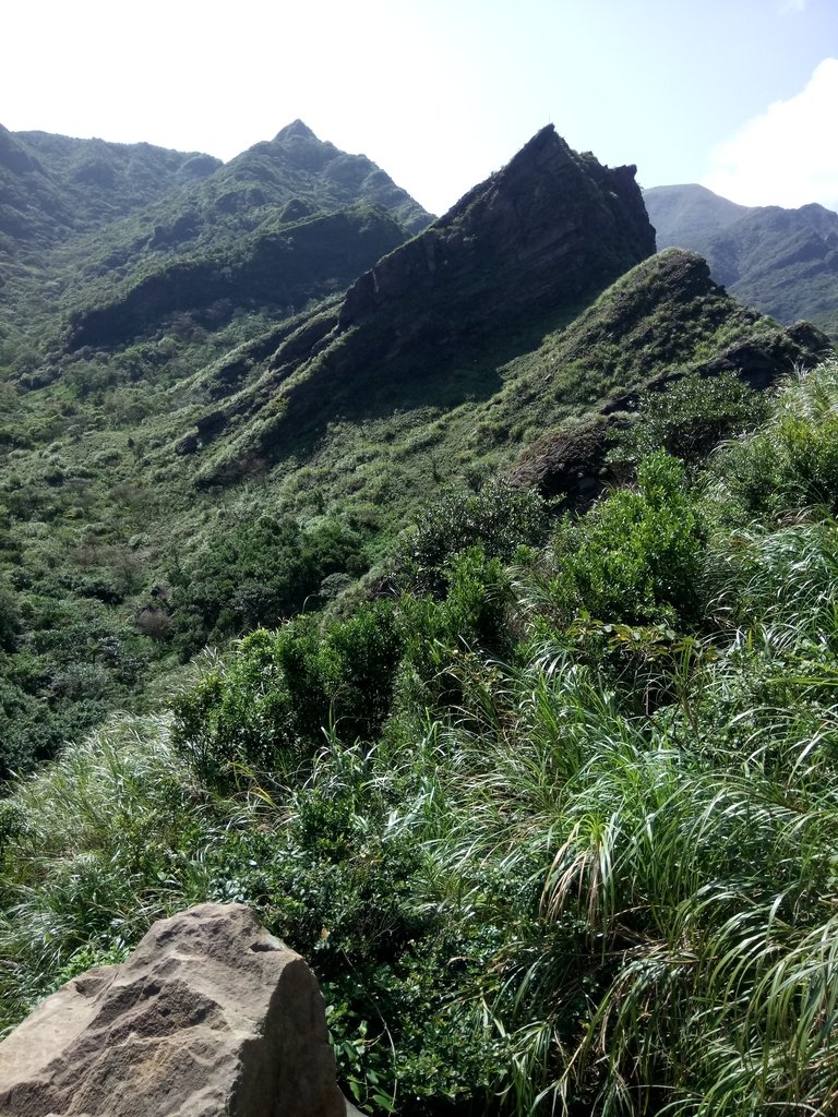 DSC_2134.JPG - 秋晴  南子吝山  登龍尾坪