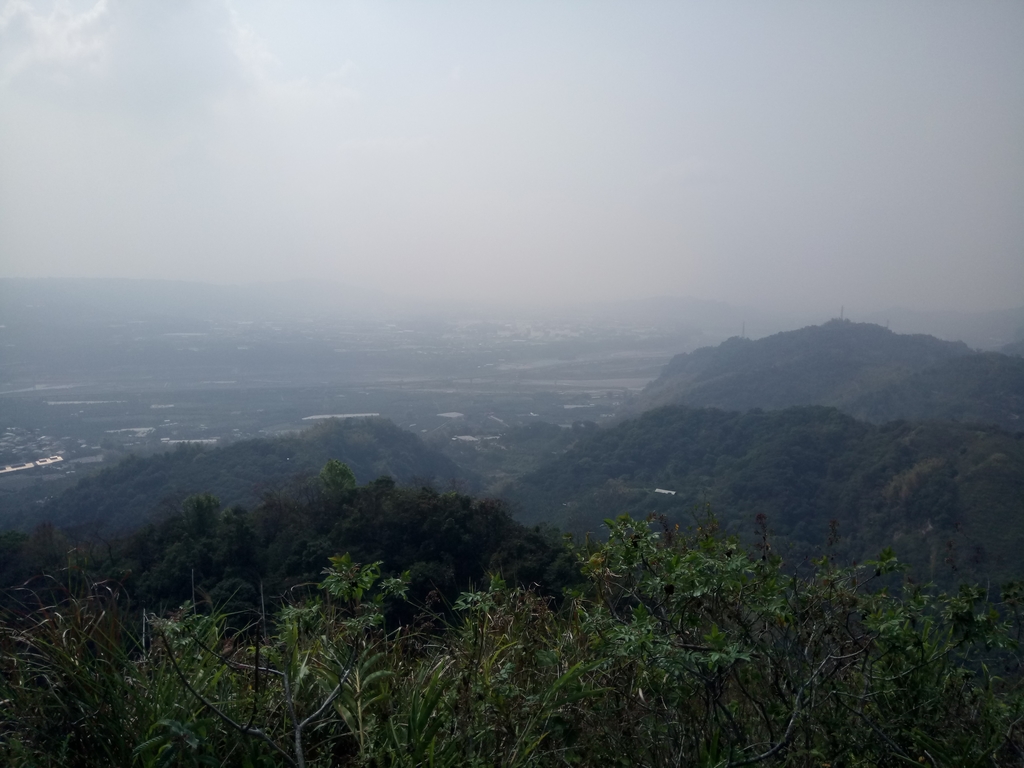 DSC_7355.JPG - 草屯平林  九九峰森林步道