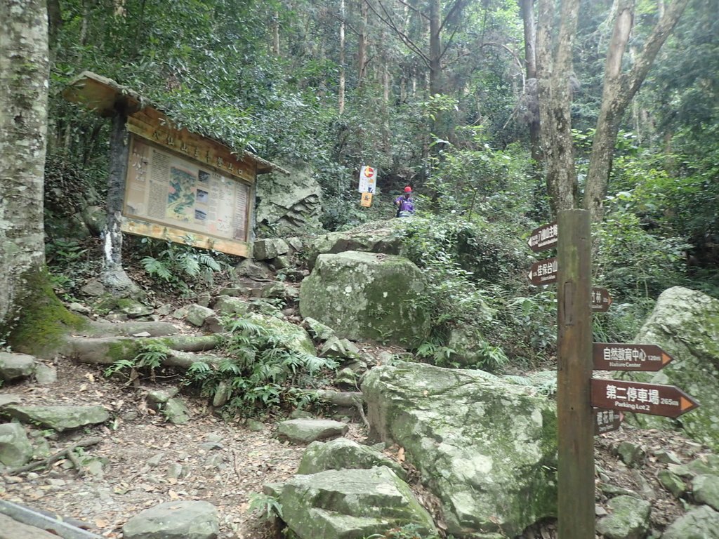 P6160670.JPG - 谷關七雄之  八仙山  (03)