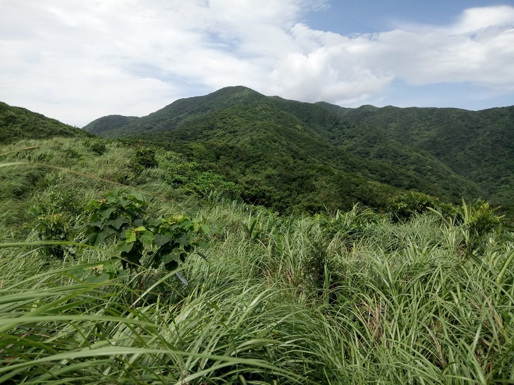 DSC_5524.JPG - 貢寮  蚊子坑古道  龍洞稜