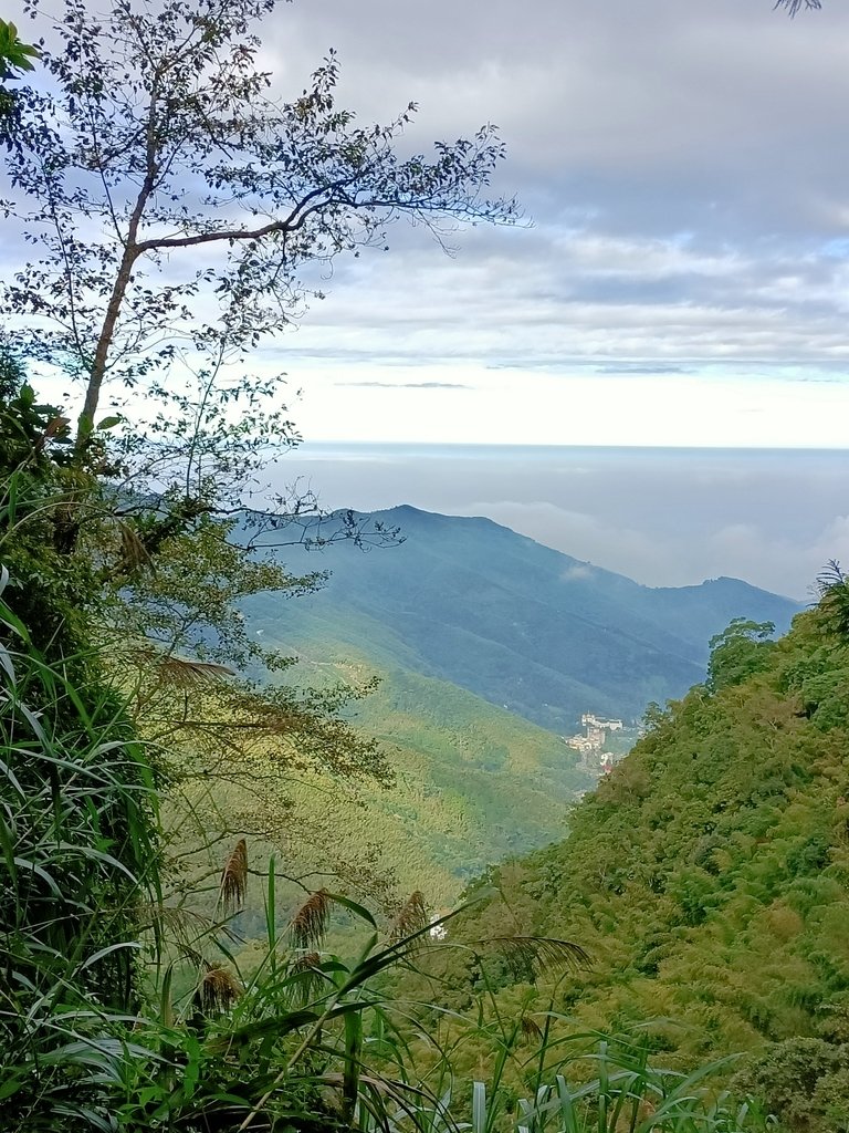 IMG20201205082409.jpg - 鹿谷  溪頭  南鳳凰山