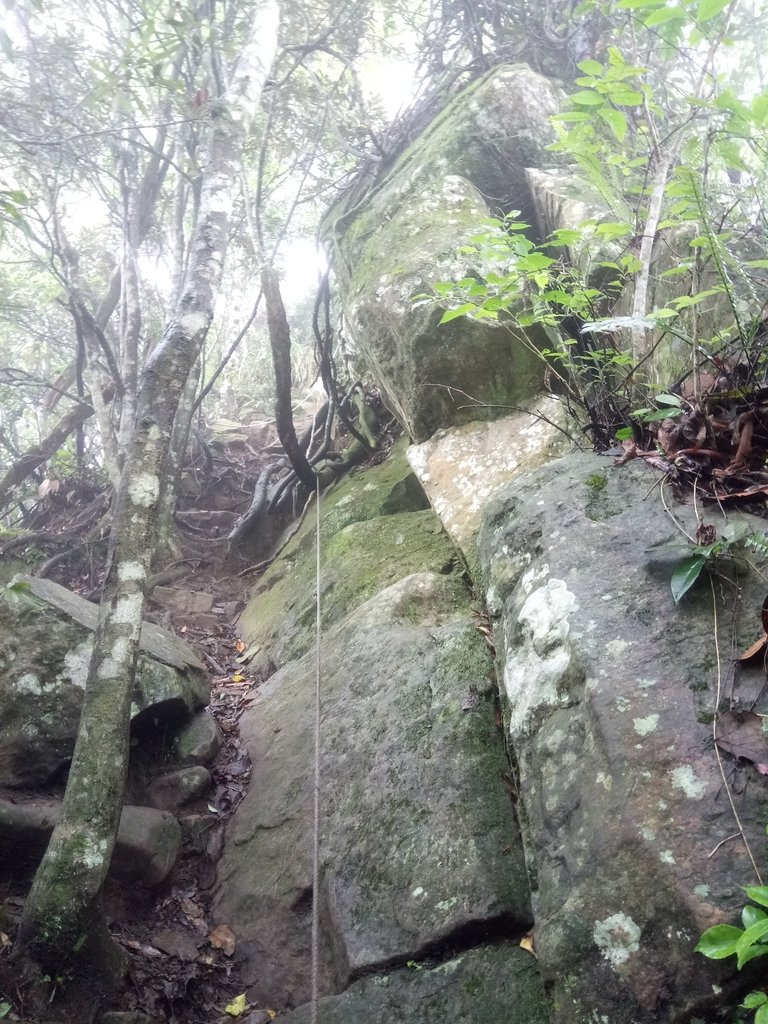 DSC_2931.JPG - 南庄  向天湖山  光天高山