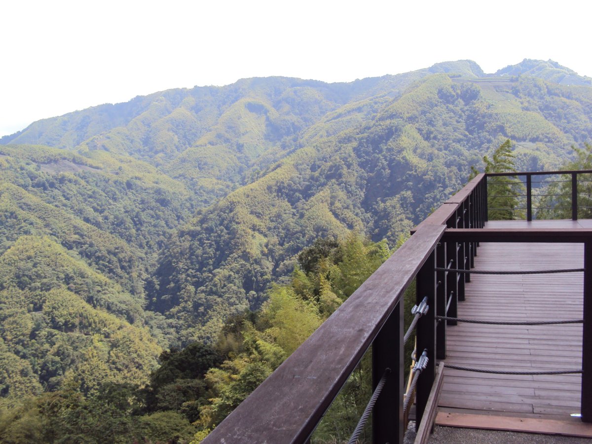 DSC08003.JPG - 竹山  軟鞍  八卦茶園