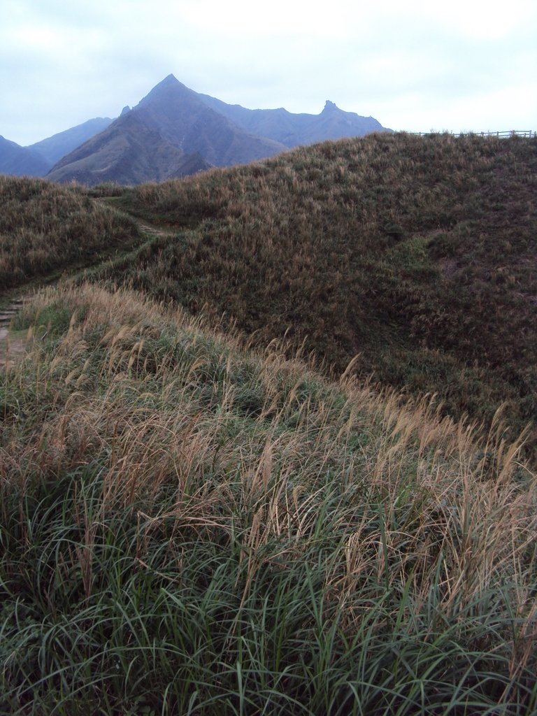 DSC06257.JPG - 瑞芳  南子吝步道