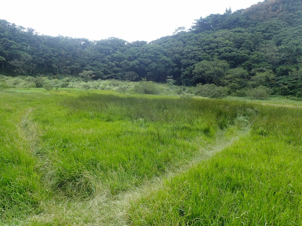 P9238220.JPG - 北投  面天山  向天湖步道