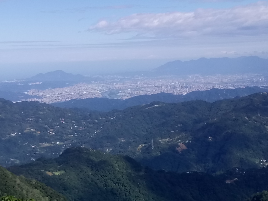 DSC_8971.JPG - 復興  東眼山森林步道