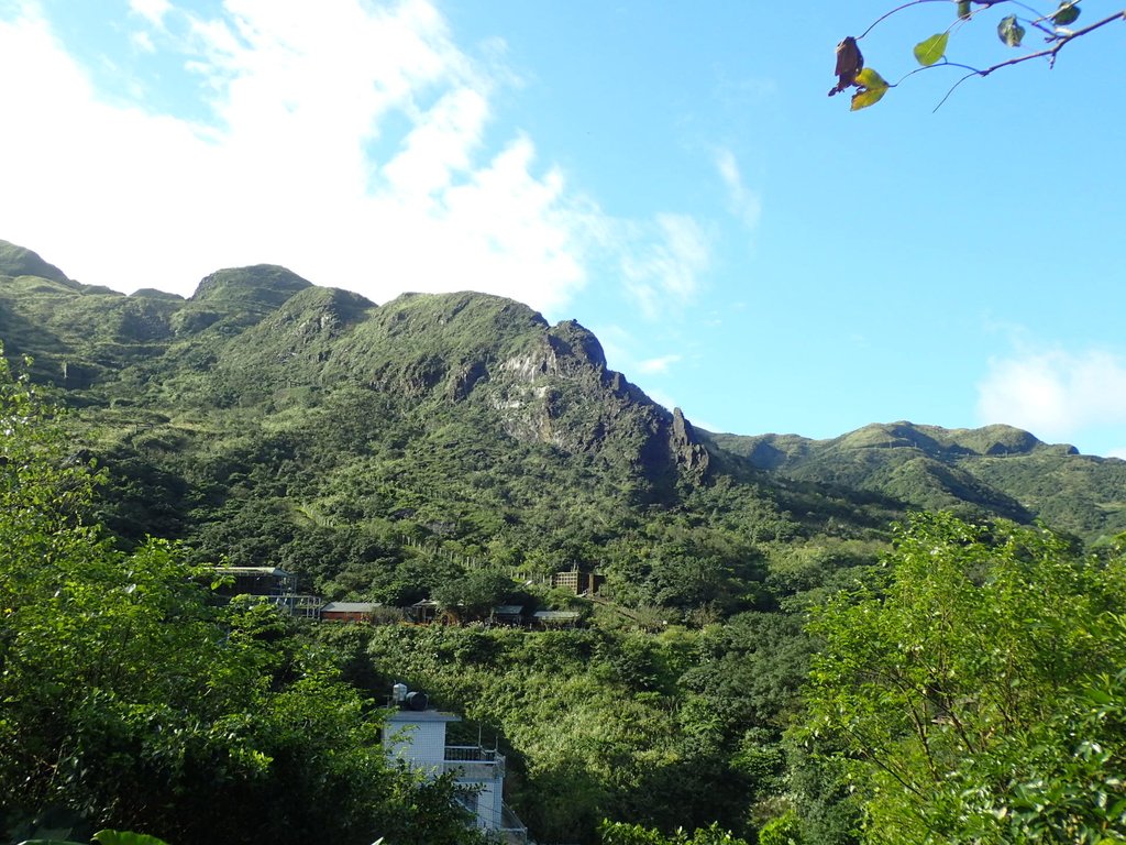 P1102185.JPG - 本山五坑  黃金神社