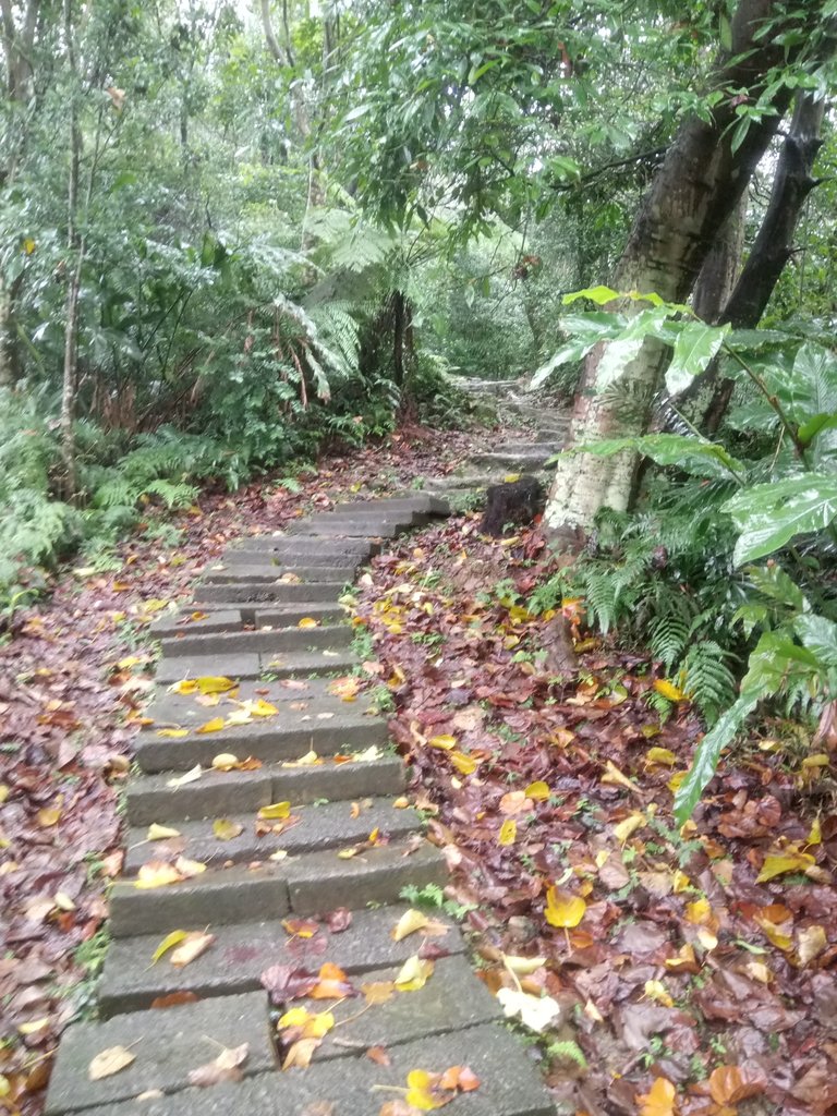 DSC_1722.JPG - 土城  天上山  登山步道