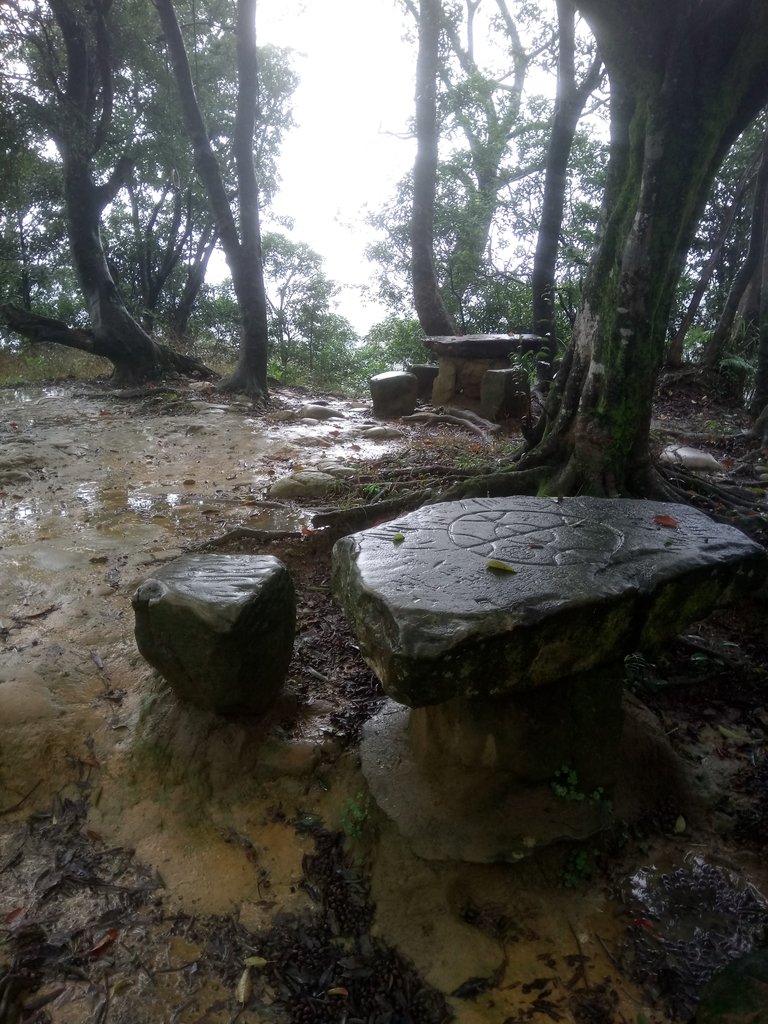 DSC_1724.JPG - 土城  天上山  登山步道