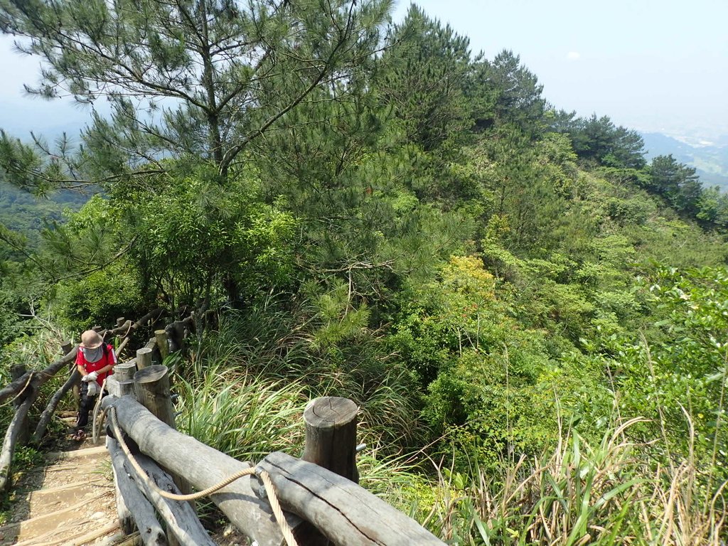 P5117185.JPG - 大坑四號步道  頭嵙山