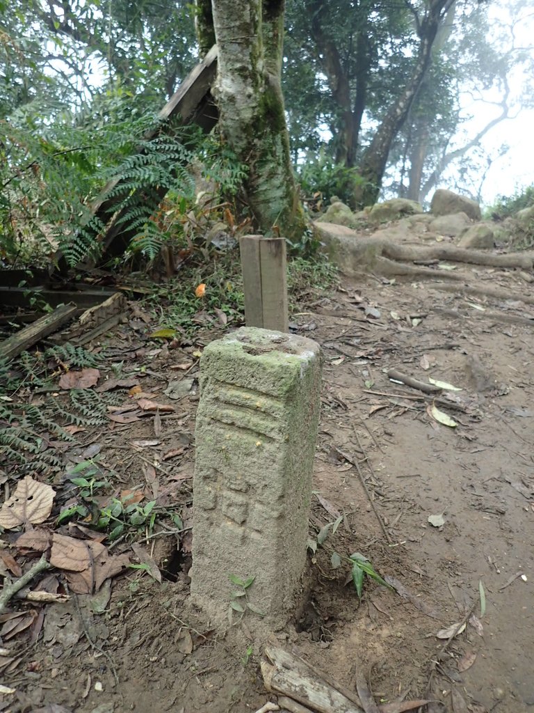 P2107526.JPG - 大溪  溪洲山登山步道