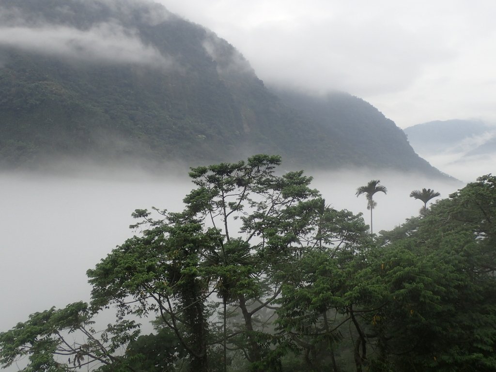 PA231552.JPG - 古坑  草嶺  雲山繚繞