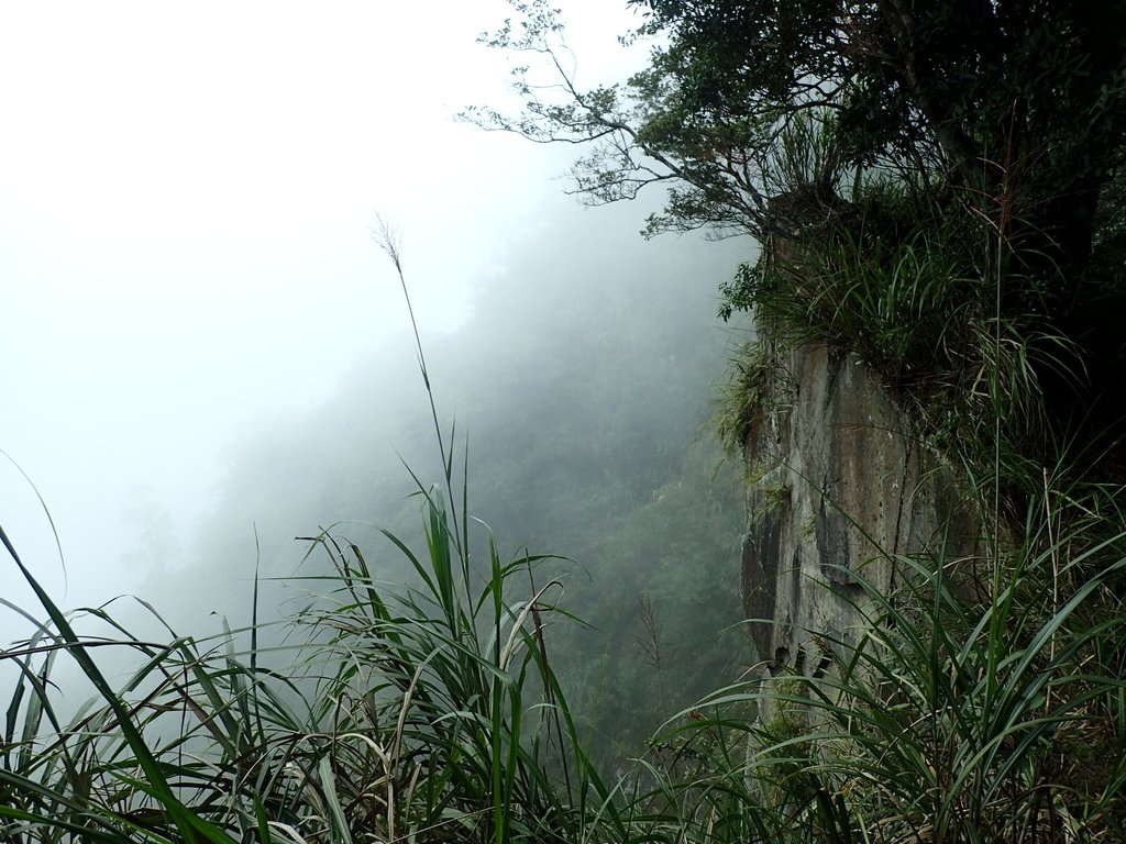 PA231709.JPG - 石壁山  嘉南雲峰步道