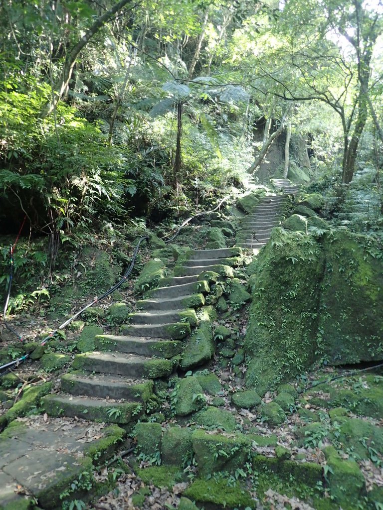 P1224266.JPG - 再訪---  平溪  孝子山登山步道