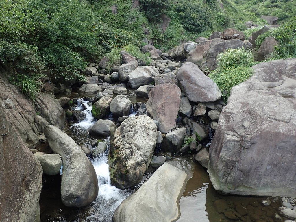 P8317610.JPG - 瑞芳  雷霆岩下之  溪谷風情