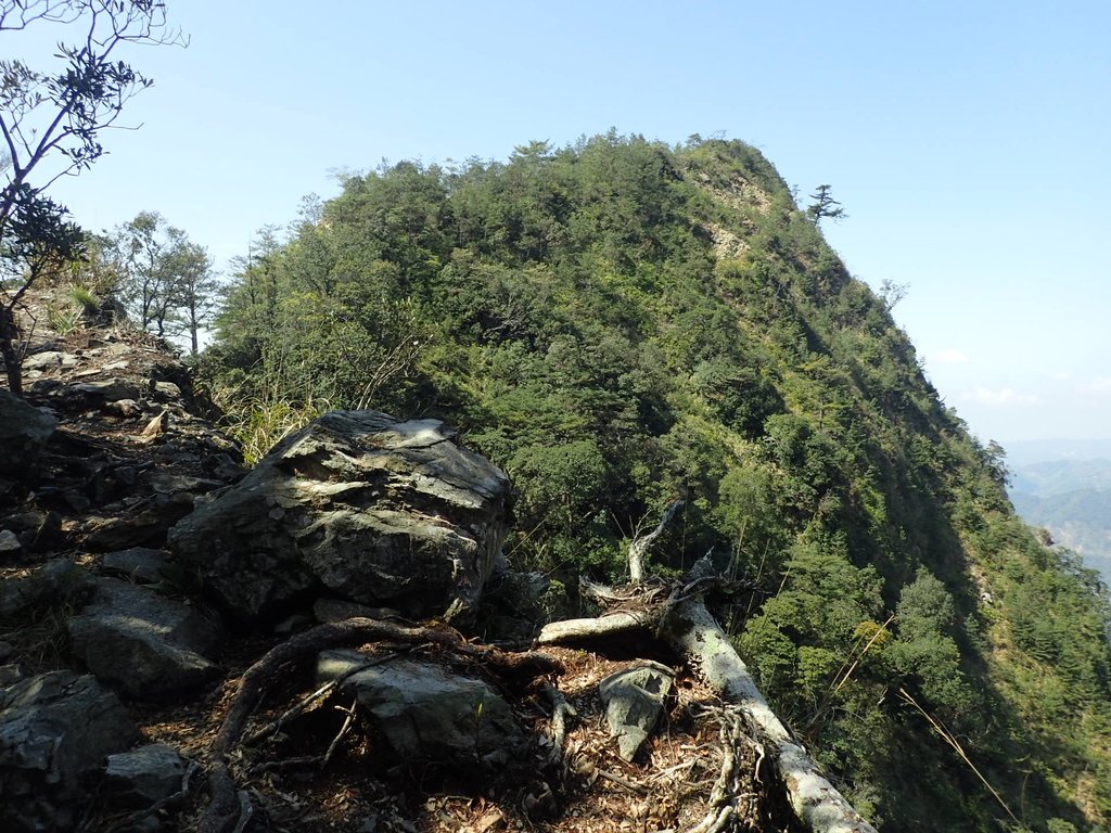 P3167275.JPG - 谷關  屋東縱走