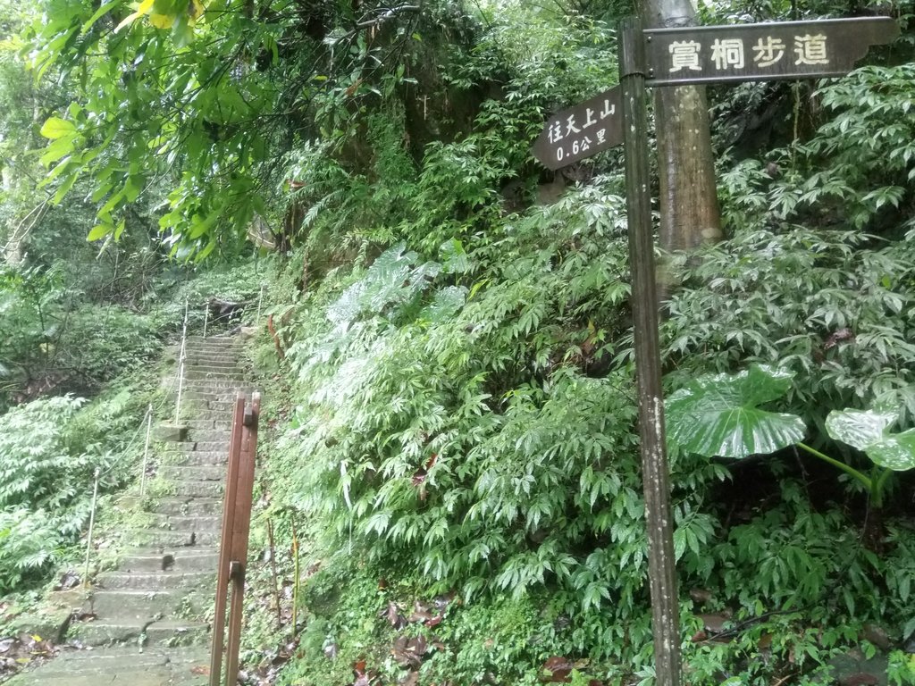 DSC_1745.JPG - 土城  天上山  登山步道