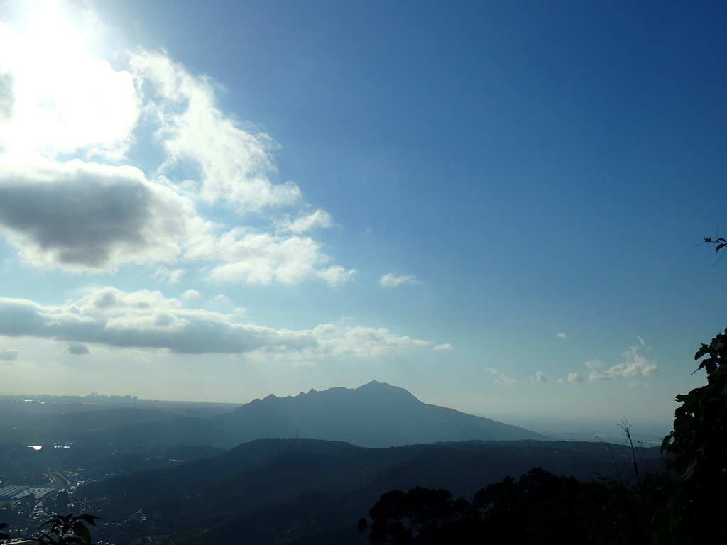 PB247281.JPG - 北投  中正山登山步道 01