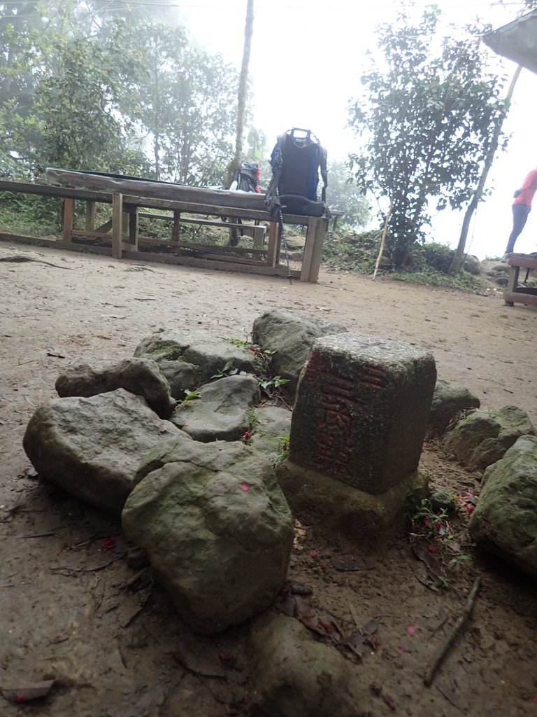 P2107540.JPG - 大溪  溪洲山登山步道