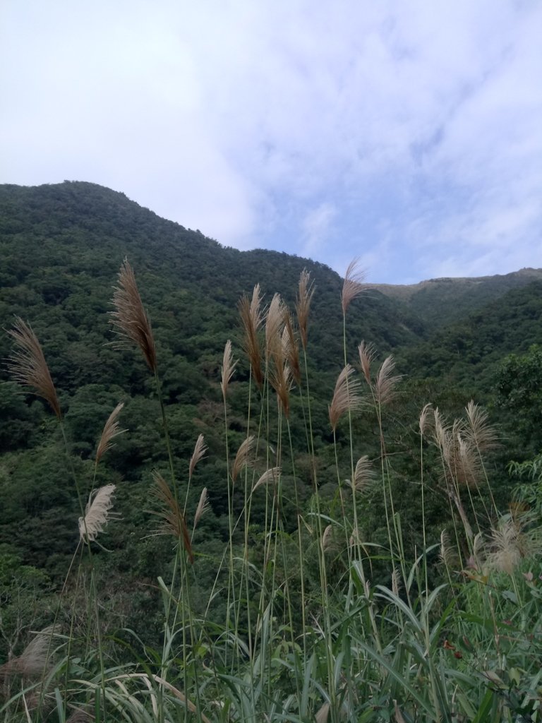 DSC_2790.JPG - 礁溪  聖母登山步道  (抹茶山)