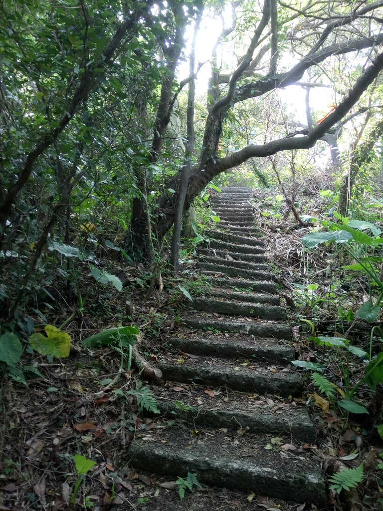 DSC_3064.JPG - 基隆  球子山(火號山)步道